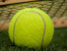 费德勒新星出色发挥表现突出，塞尔维亚队前途光明！热度持续攀升