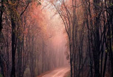 不来梅士气大振，欲冲击争夺战绩